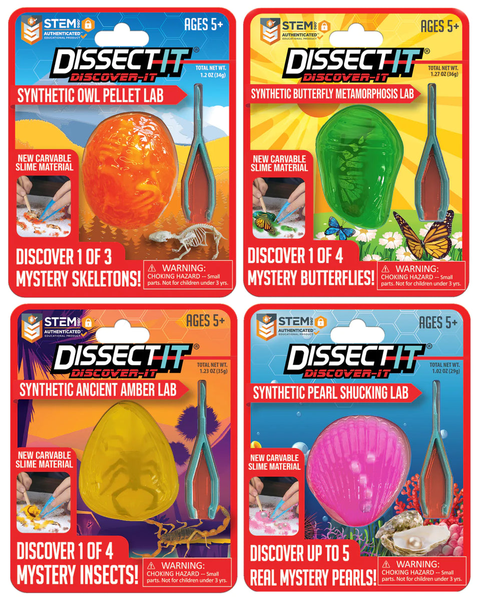 Dissect It Discover It Ancient Amber Lab – Toys on the Square