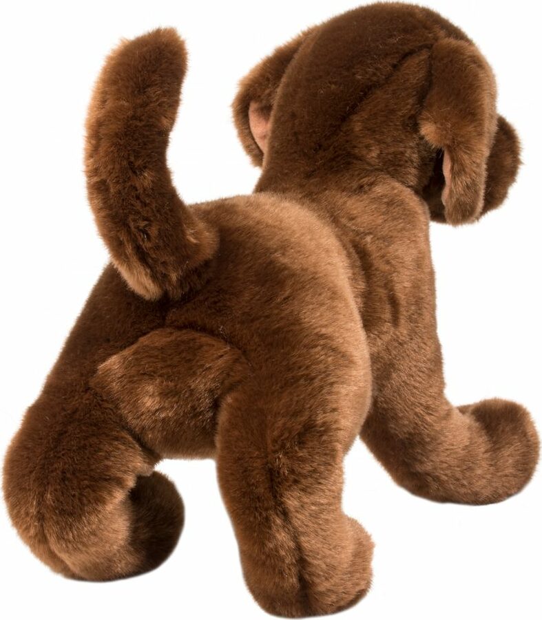 Cocoa Chocolate Lab