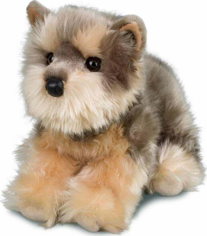 Yettie Yorkie