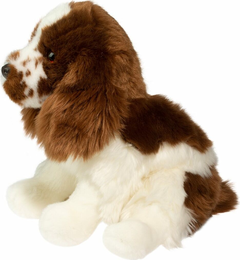 Chip Springer Spaniel