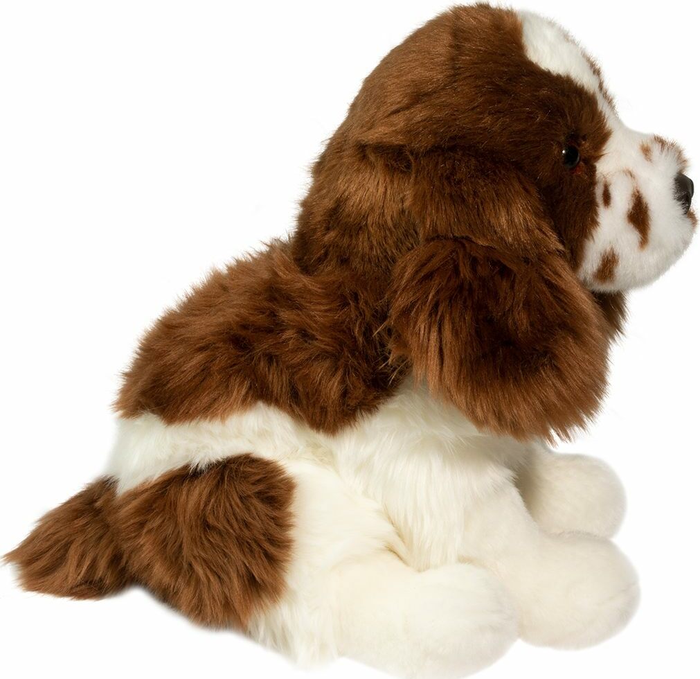 Chip Springer Spaniel