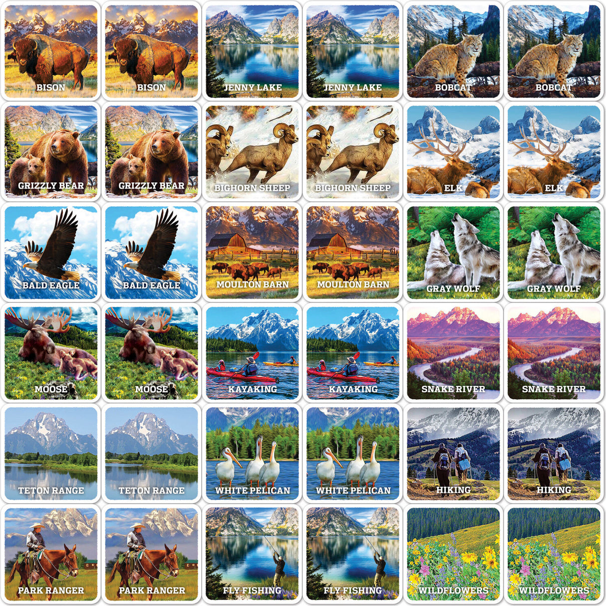 National Parks Jr Ranger - Grand Teton Matching Game