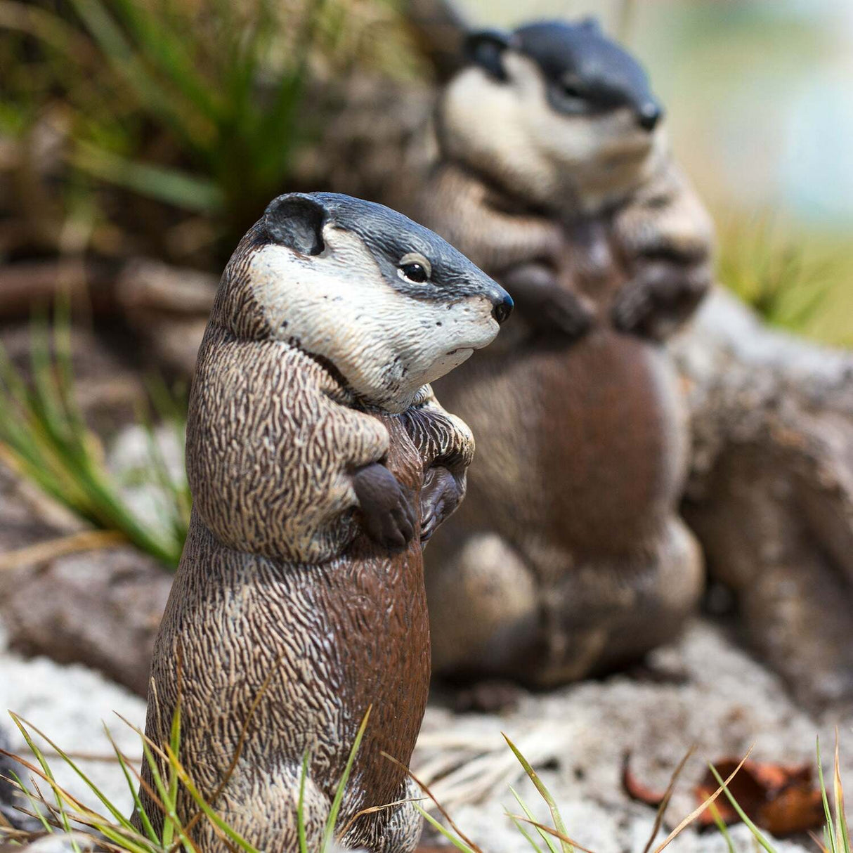 Groundhog Toy