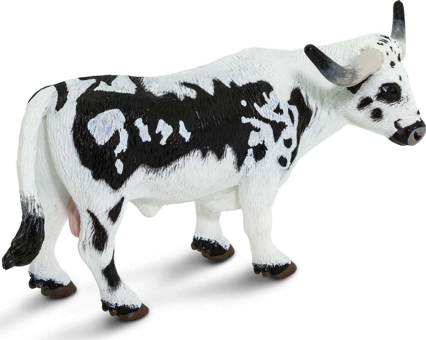 Texas Longhorn Bull