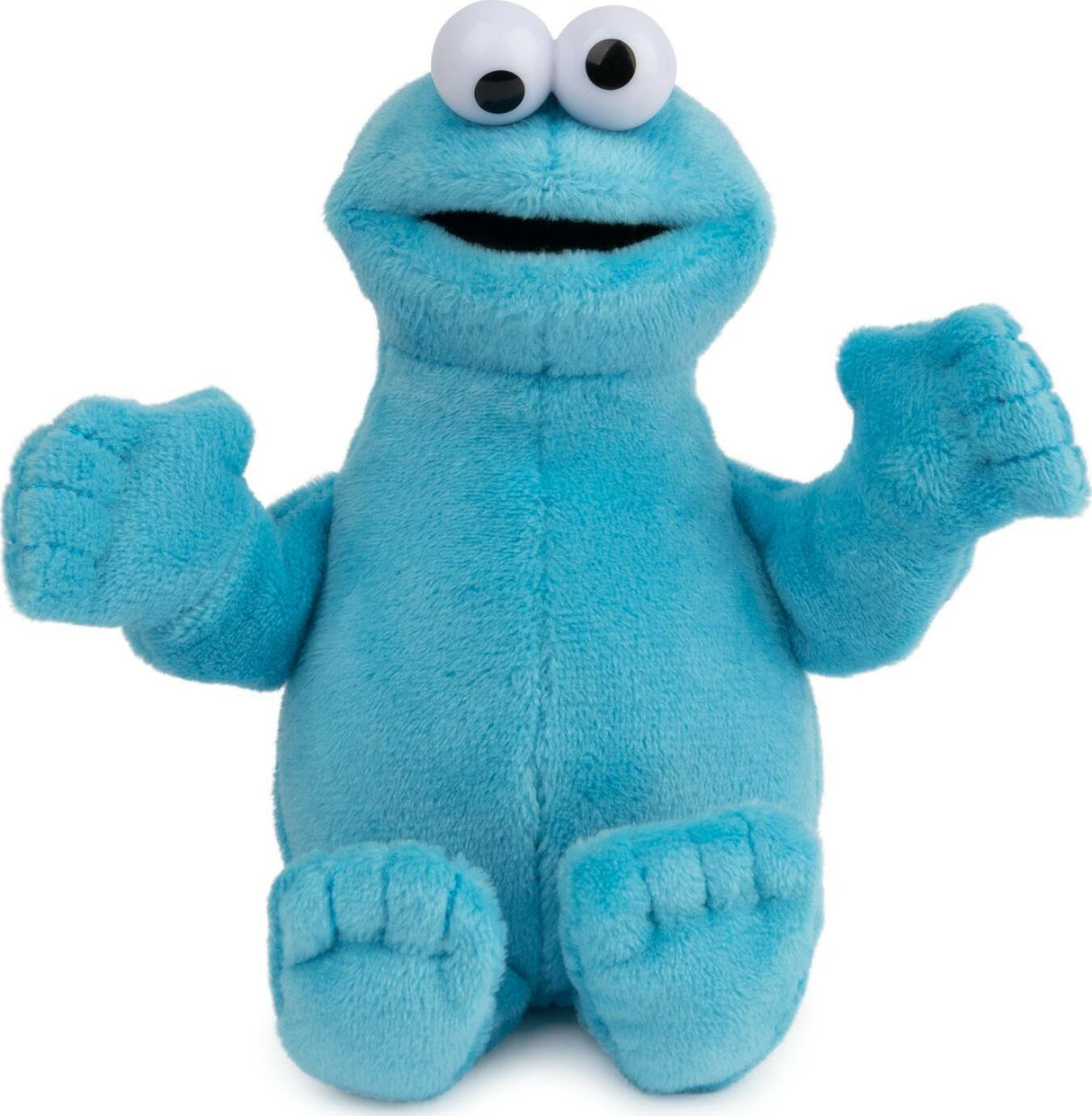 Sesame Street Beanbag (assorted)