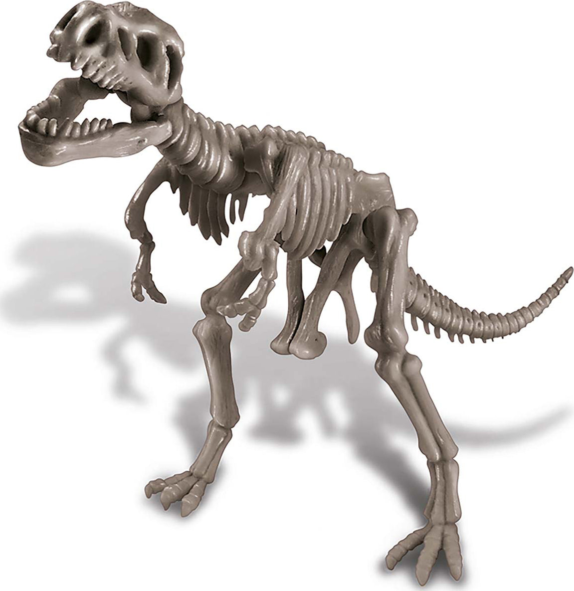 4M Kidz Labs Dig A Dino T-Rex
