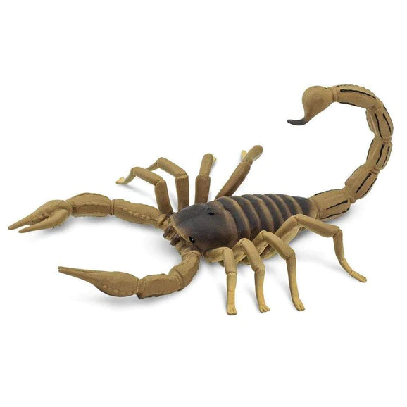 Safari Scorpion