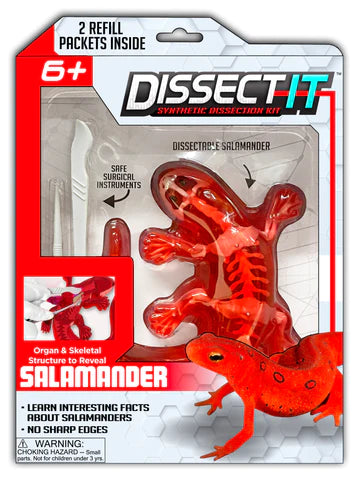 Dissect It Salamander Lab