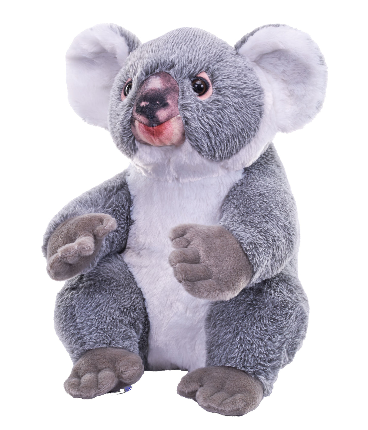 Artist Collection - Koala Plush 15"