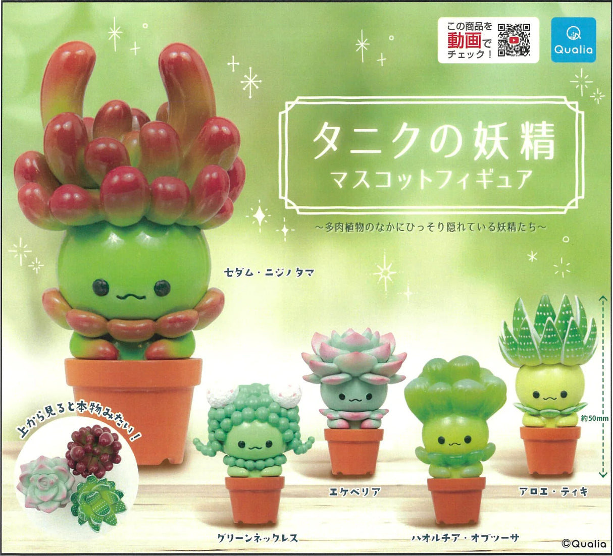 Succulent Plants Figurine (Styles Vary)