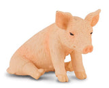 Piglet Sitting (Baby Pig)