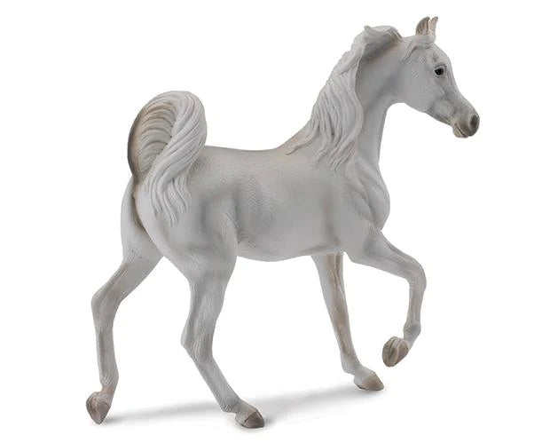 Arabian Mare Grey