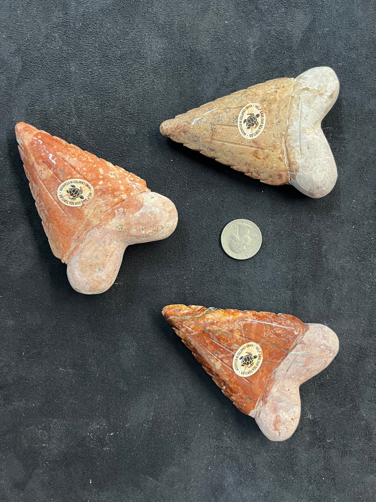 Large Stone Shark Tooth assorted (Styles Vary)