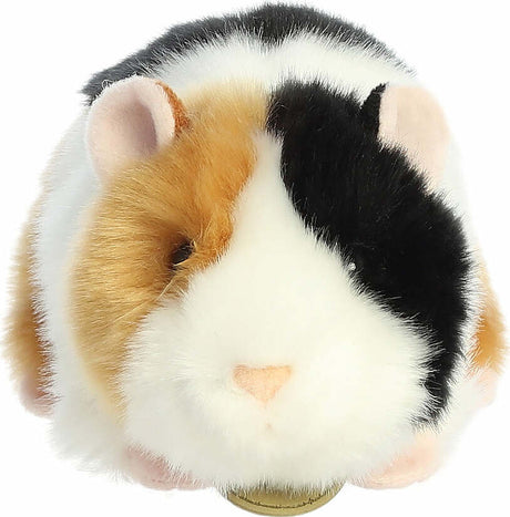 Aurora Miyoni® - 7.5" American Guinea Pig