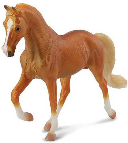 Tennessee Walking Horse Stallion Golden Palomino