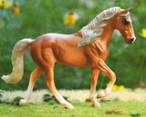 Tennessee Walking Horse Stallion Golden Palomino