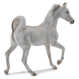 Arabian Mare Grey