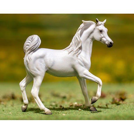 Arabian Mare Grey