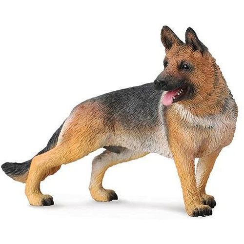 German Shepherd 