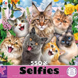 550 pc Selfies Feline Friends