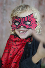 Spider Bat Reversible Cape And Mask (Size 3-4)