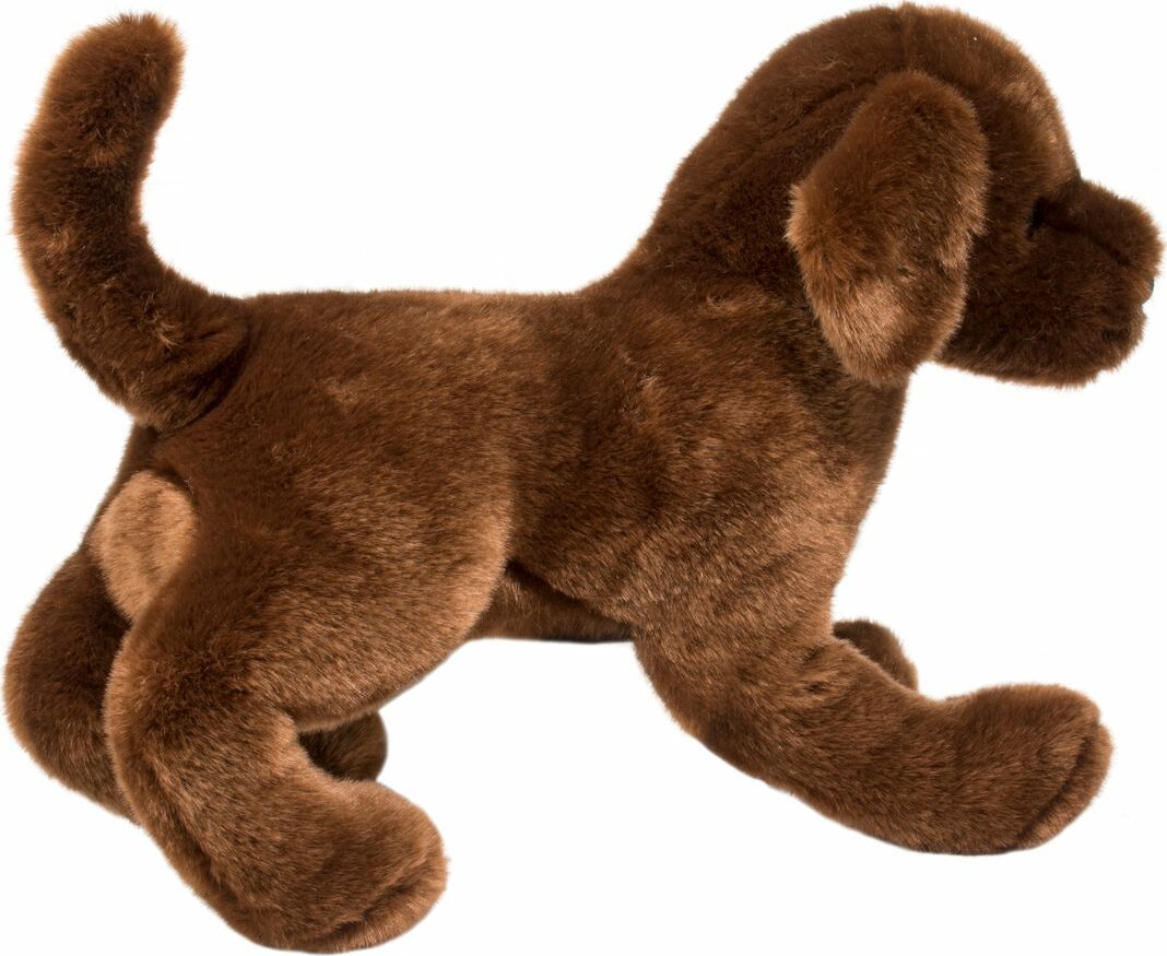 Cocoa Chocolate Lab