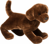 Cocoa Chocolate Lab