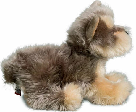 Yettie Yorkie