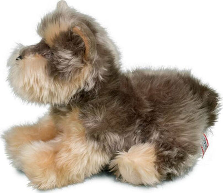 Yettie Yorkie