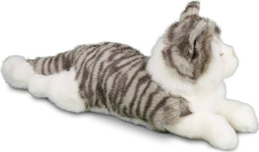 Smokey Gray Cat