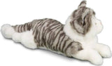 Smokey Gray Cat