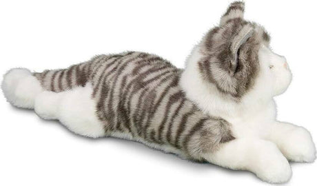 Smokey Gray Cat
