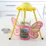 Sparkle N' Grow Butterfly Terrarium