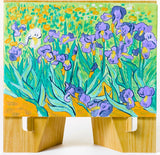 Paint by Number Museum Series – Irises