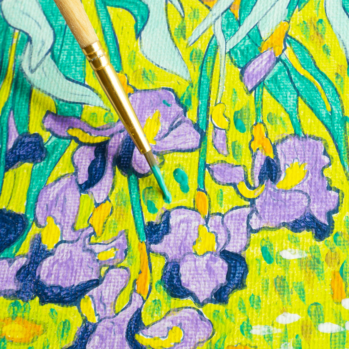 Paint by Number Museum Series – Irises