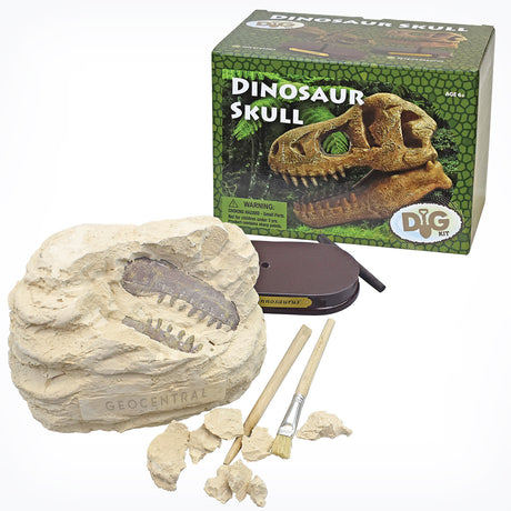 Dinosaur Skull Excavation Kit