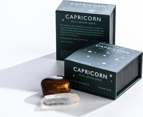 Capricorn Zodiac Mini Stone Pack