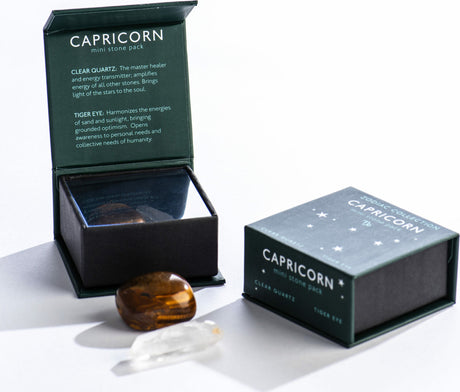 Capricorn Zodiac Mini Stone Pack