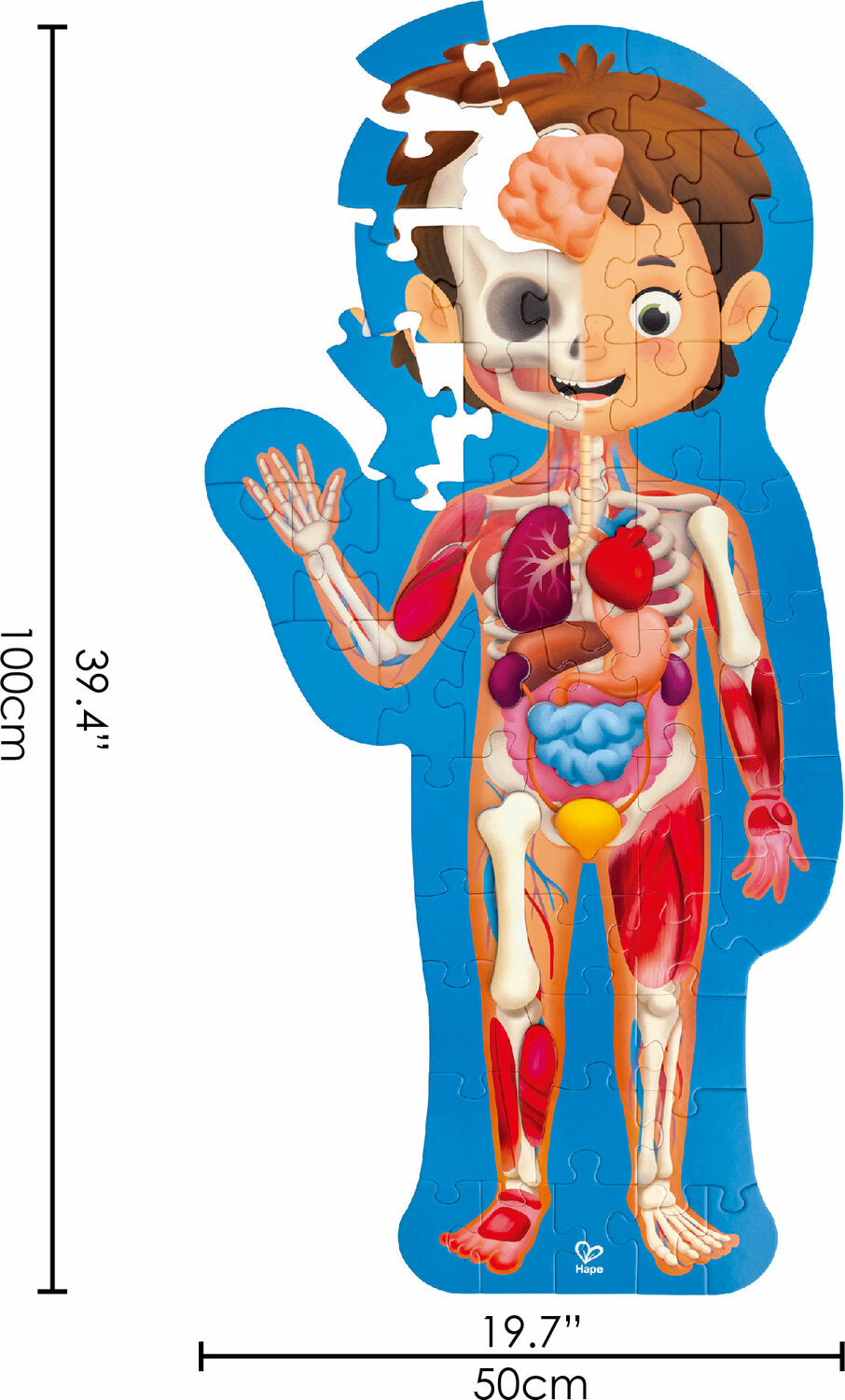 Human Body Puzzle