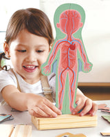 Human Body Magnetic Puzzle