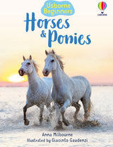 Horses and Ponies