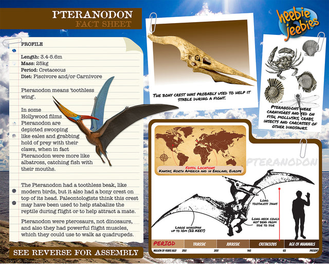 Dino Kit Small Pteranodon