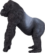 Gorilla (Silverback, walking)