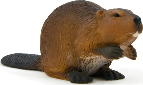 Beaver