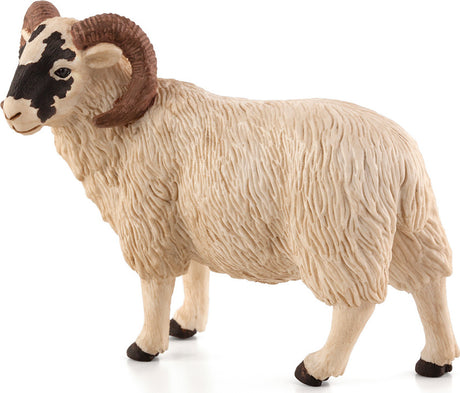 Black Faced Sheep (Ram)