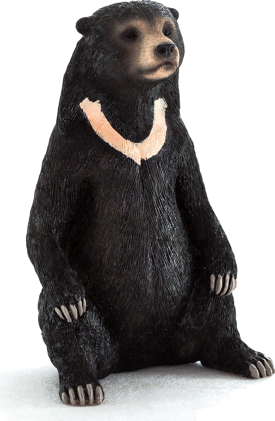 SUN BEAR – Toys on the Square