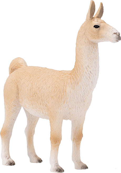 Llama