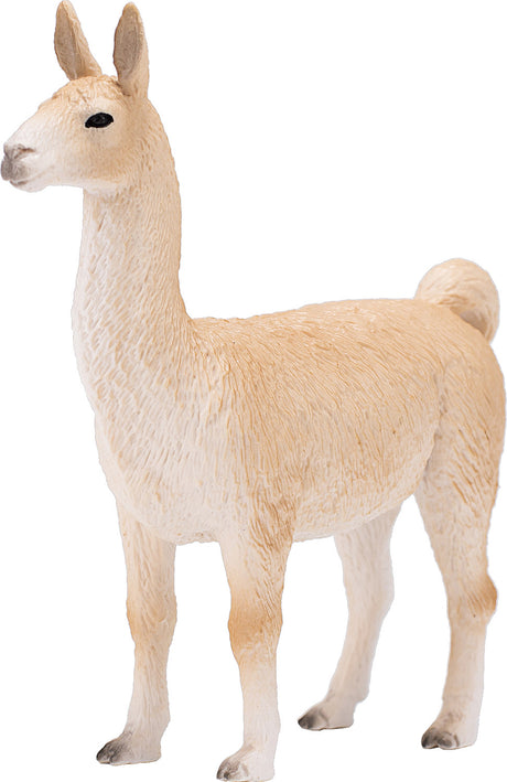 Llama