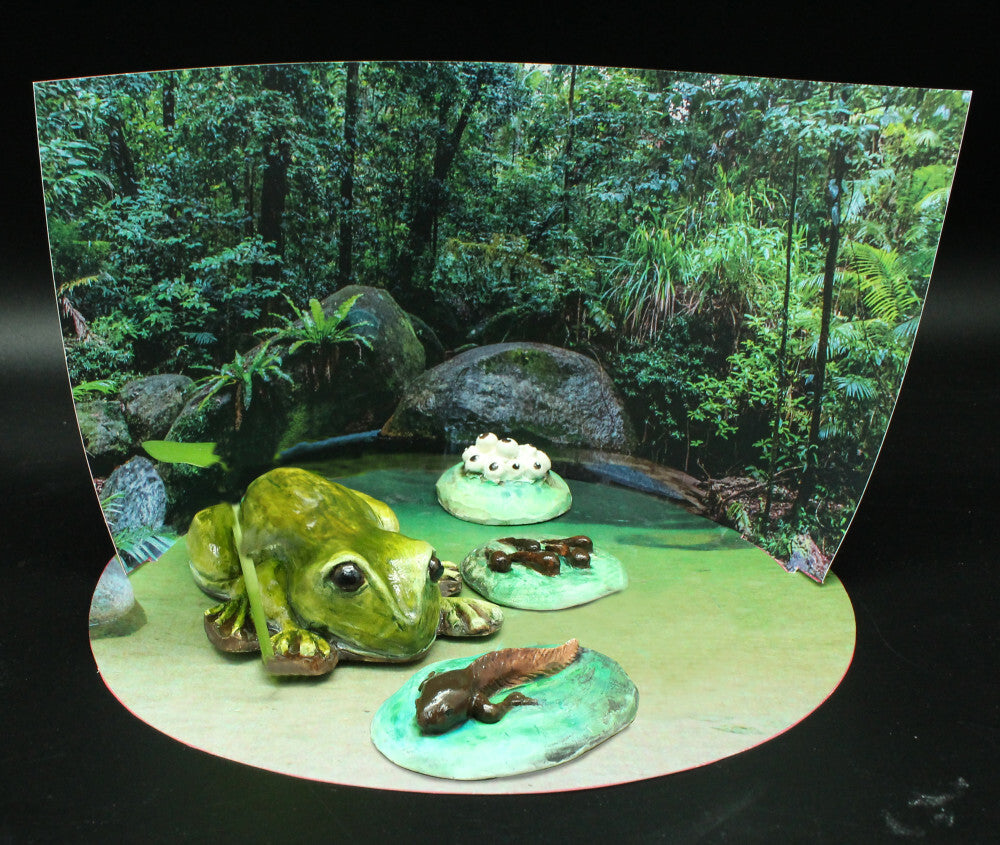Wild Environmental Science - Amazing and Bizarre Frogs of the