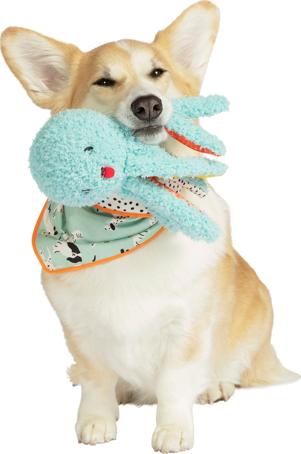 Oddball Olga Pet Toy – Toys on the Square